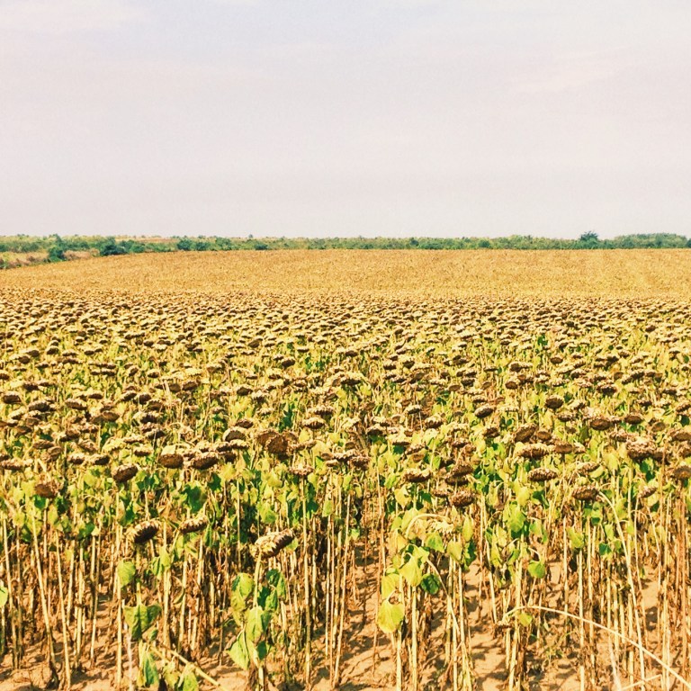 Processed with VSCO with g3 preset